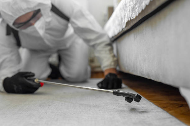 Professional Bed Bug Control technician working in Cathedral City, CA