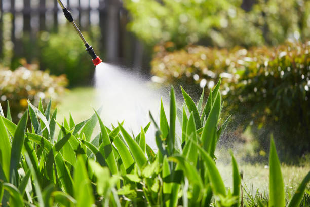 24/7 Emergency Bed Bug Control experts in Cathedral City, CA